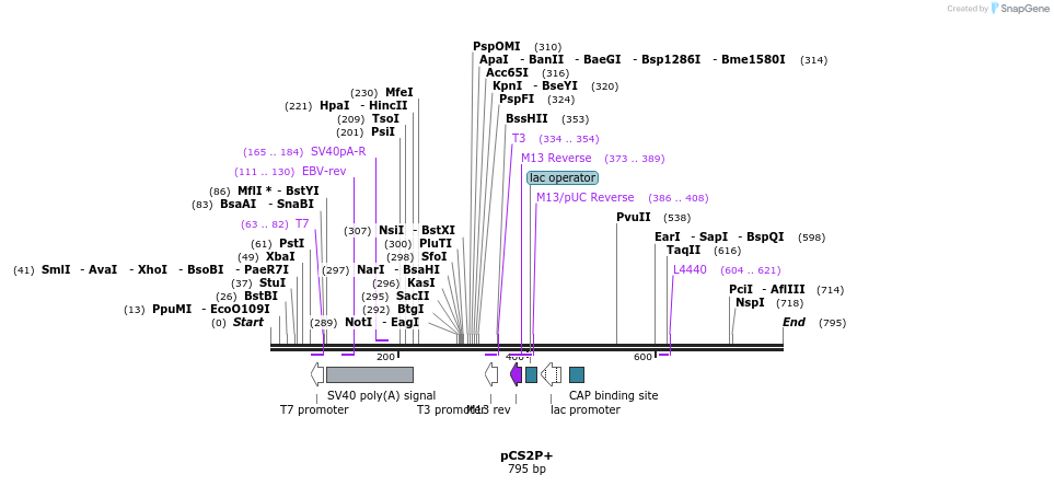 23847_map