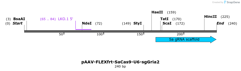 238479_map