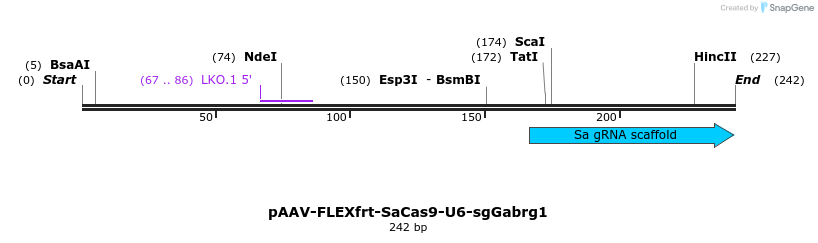 238481_map