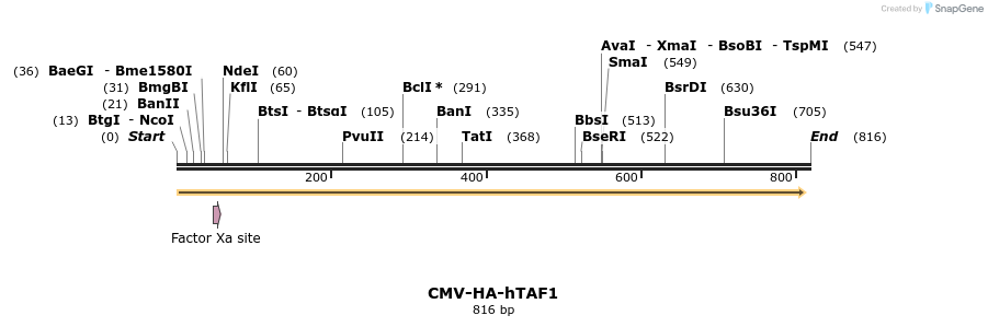 23854_map