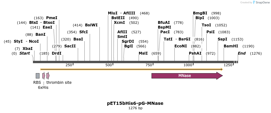 238556_map