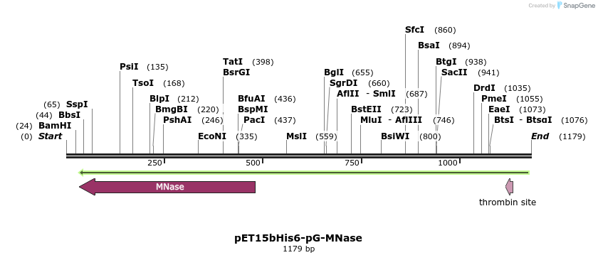 238557_map