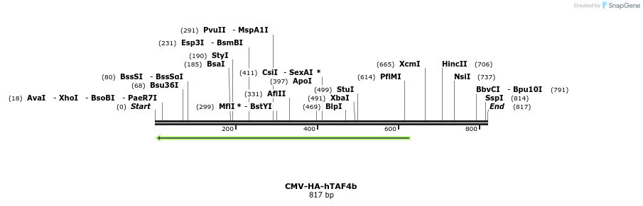 23856_map
