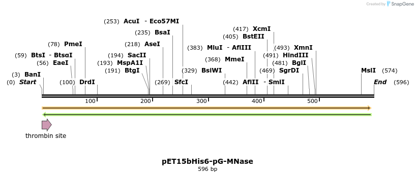 238599_map