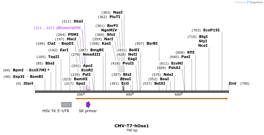23860_map