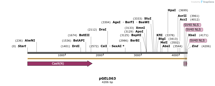 238606_map