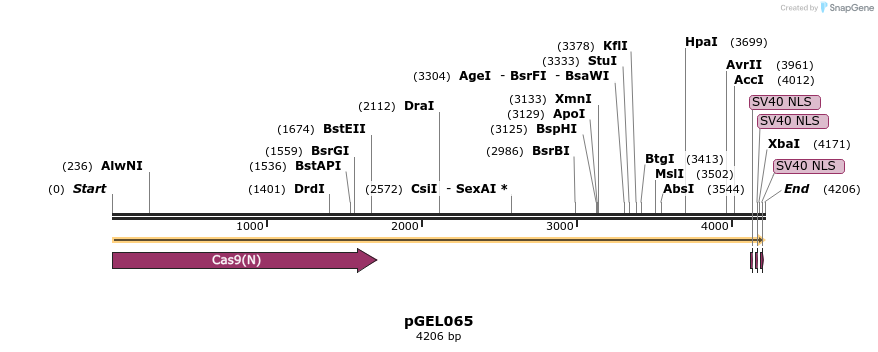 238607_map