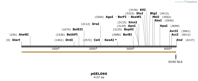 238608_map