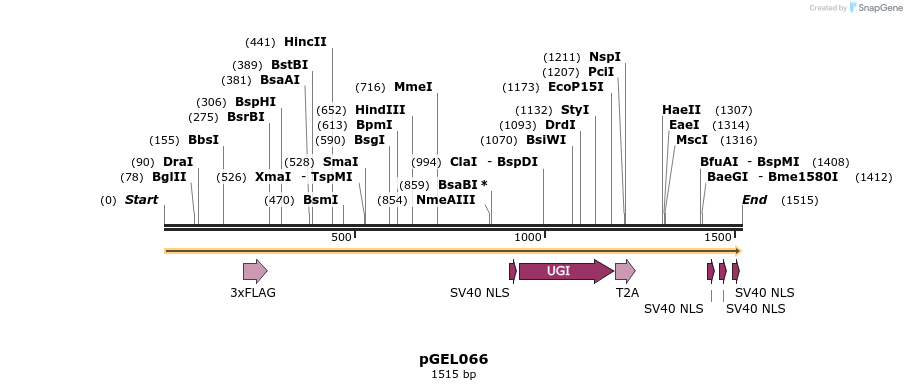 238609_map