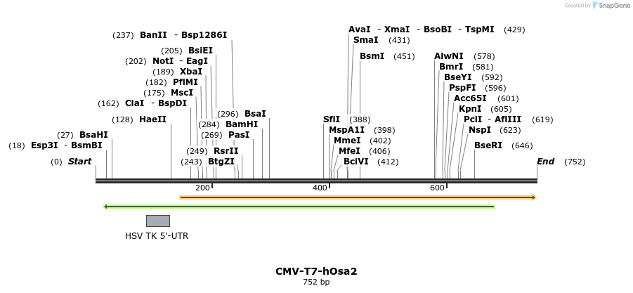 23861_map