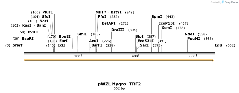 23864_map