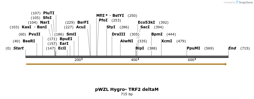 23866_map
