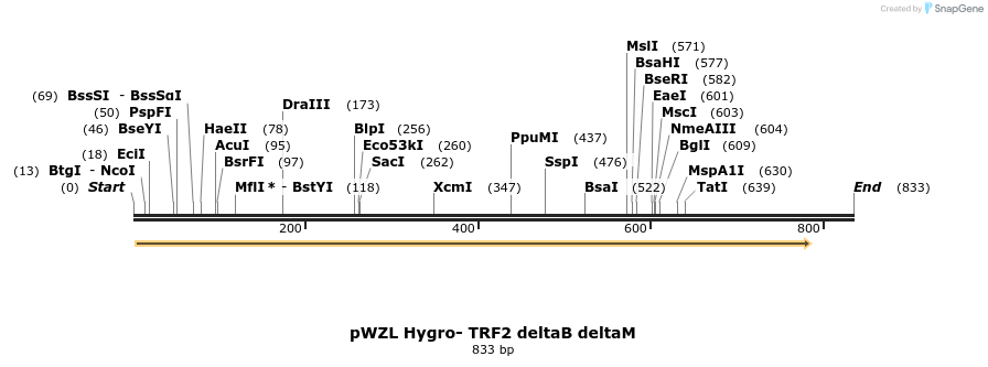 23867_map