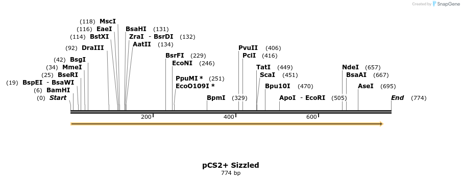 23868_map