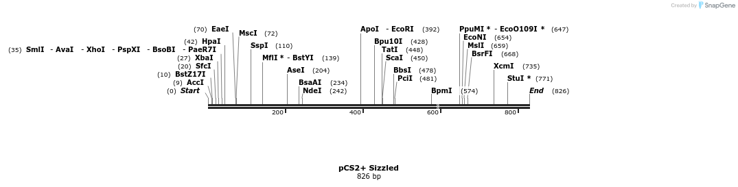 23869_map