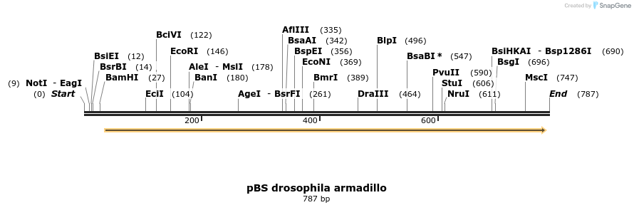 23872_map