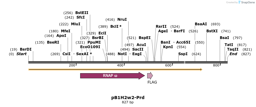 23874_map