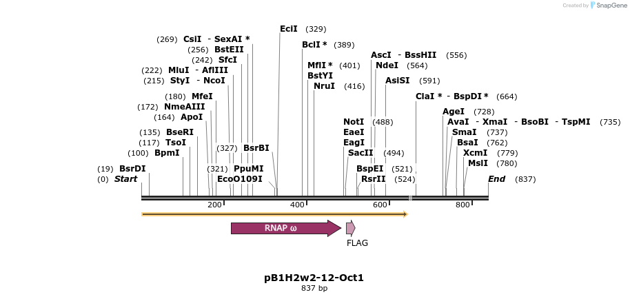 23877_map
