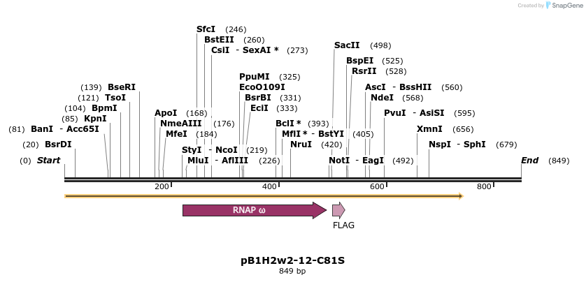 23878_map
