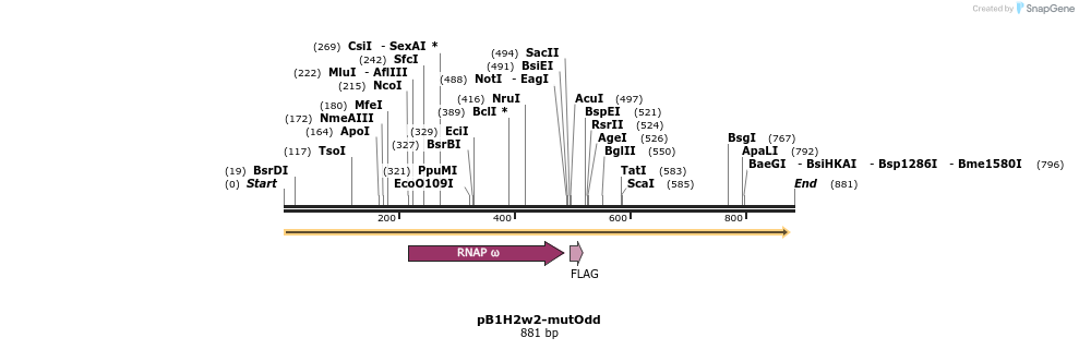 23880_map