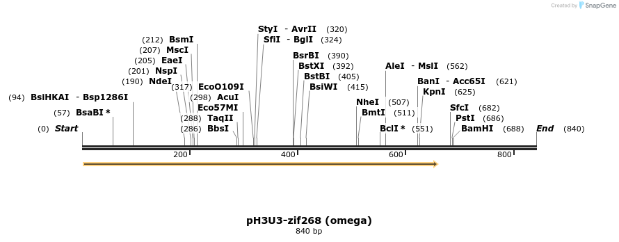 23882_map
