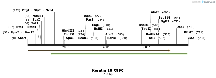 23885_map