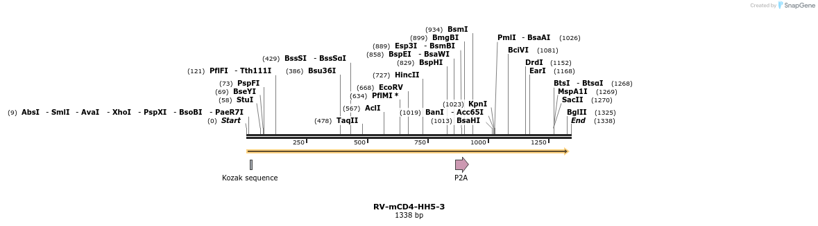 238858_map