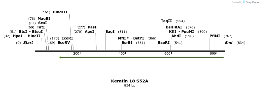 23886_map