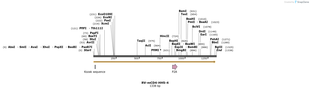 238861_map