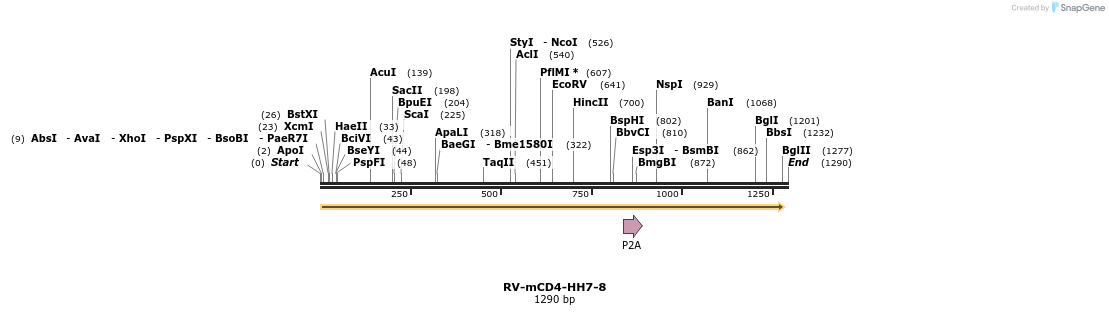 238872_map