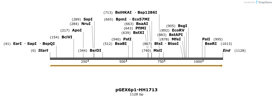 238878_map