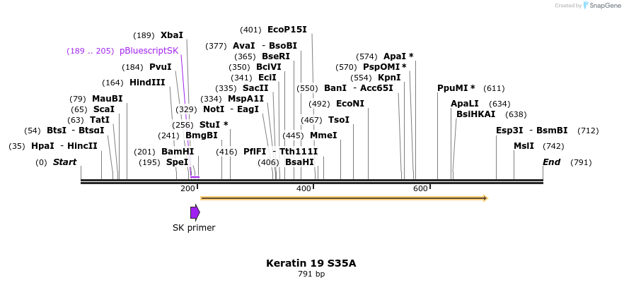 23889_map