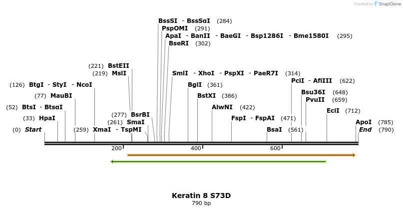 23890_map