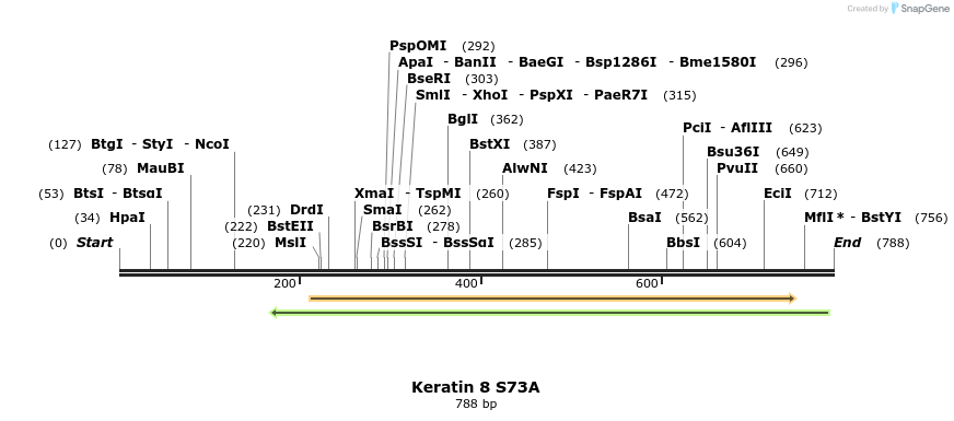 23892_map