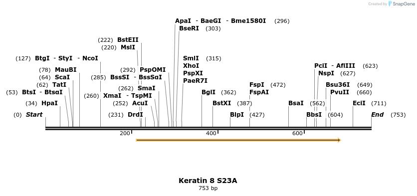 23893_map
