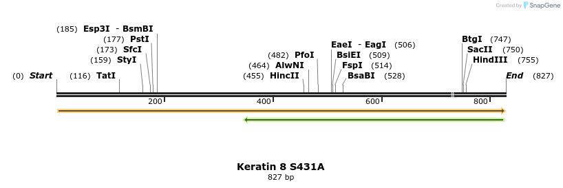 23894_map