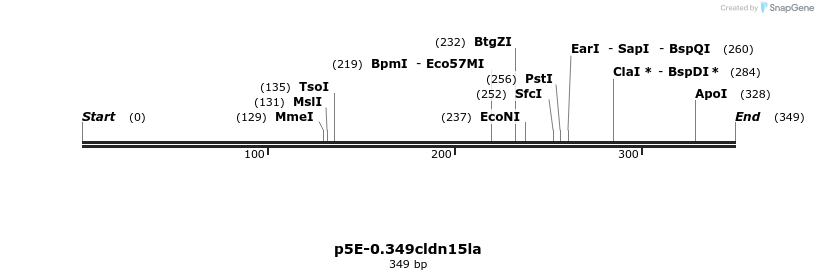 238943_map