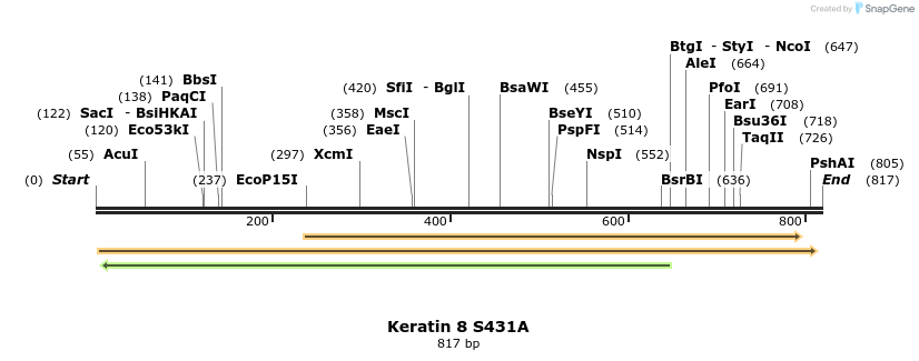 23895_map