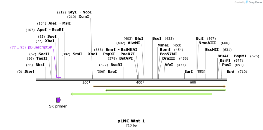 23897_map