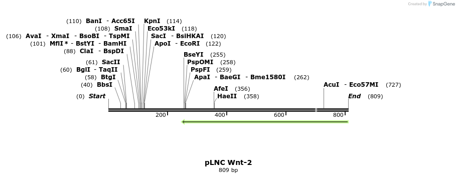 23898_map