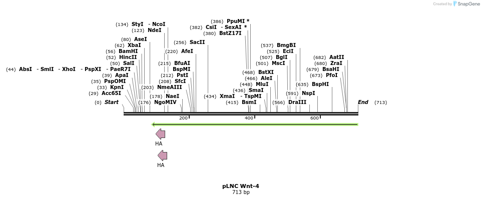 23901_map
