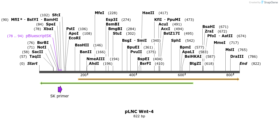 23902_map