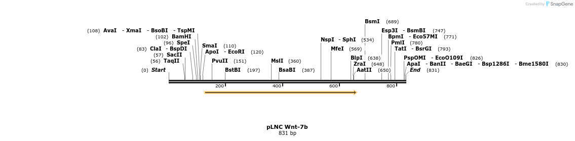 23906_map
