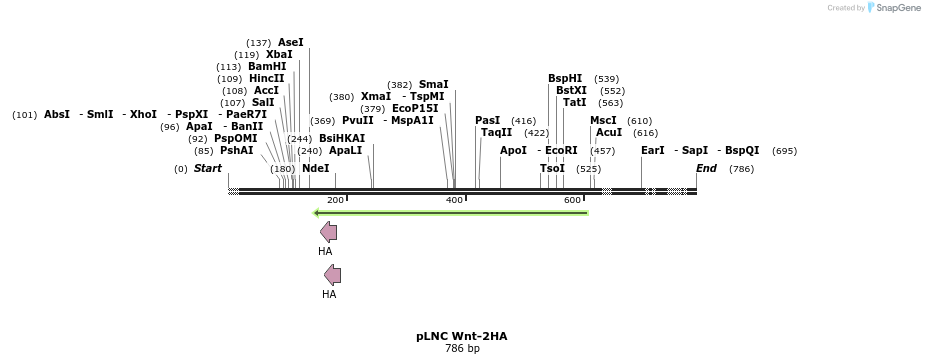 23910_map