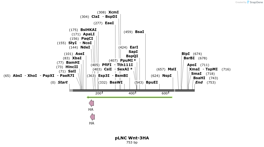23912_map