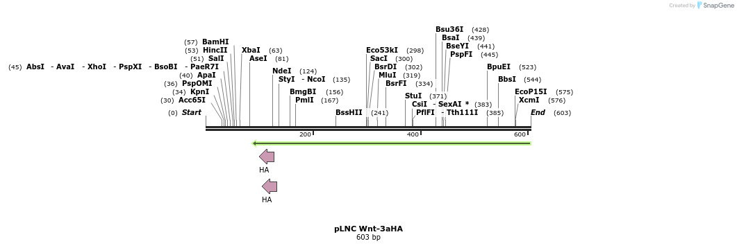 23914_map