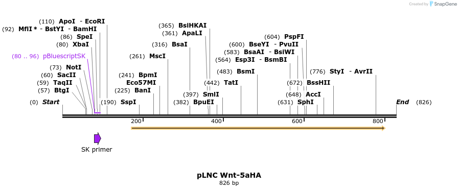 23917_map