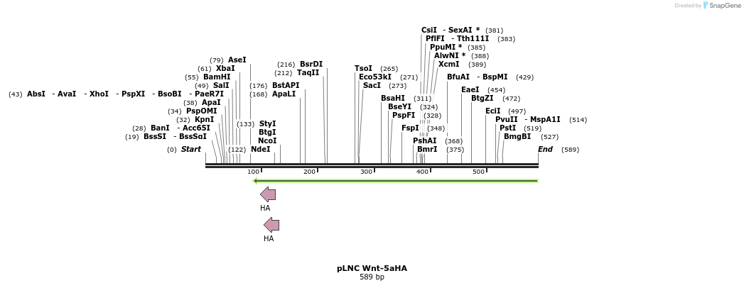 23918_map