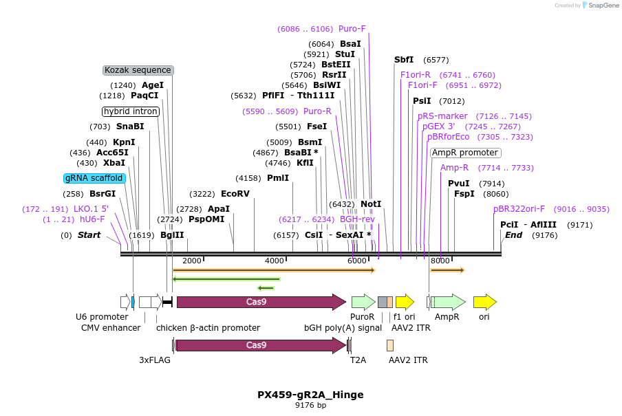 239193_map