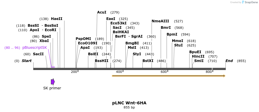 23921_map